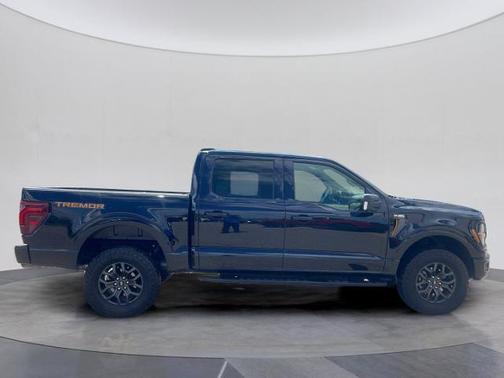 AGATE BLACK METALLIC 2024 Ford F-150 TREMOR