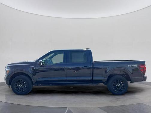 AGATE BLACK METALLIC 2025 Ford F-150 PLATINUM