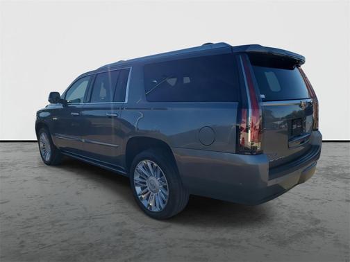 2019 Cadillac Escalade ESV Platinum