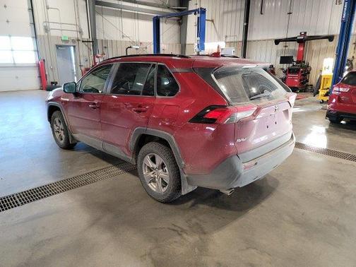 Ruby Flare Pearl 2023 Toyota RAV4 XLE