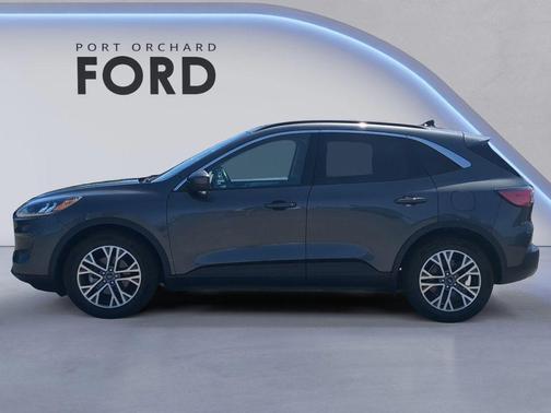 Magnetic Metallic 2020 Ford Escape SEL
