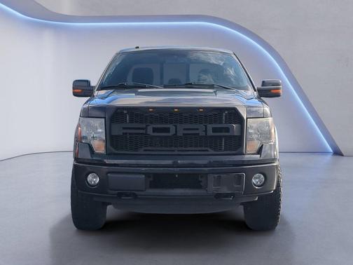 2013 Ford F-150 FX4