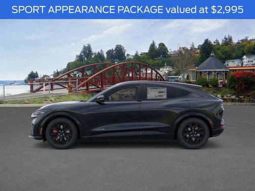 Shadow Black 2025 Ford Mustang Mach-E Premium