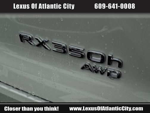 2025 Lexus RX 350 Luxury