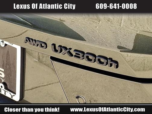 2025 Lexus UX 300h Premium