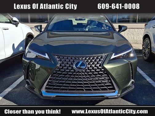 2025 Lexus UX 300h Premium
