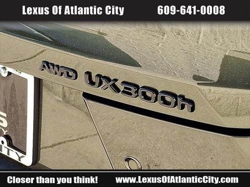 2025 Lexus UX 300h UX 300h Premium AWD