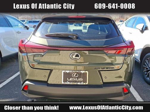 2025 Lexus UX 300h Premium