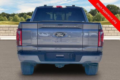 Gray Metallic 2025 Ford F-150 Platinum