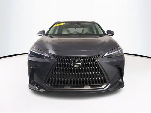 2025 Lexus NX 350h Luxury