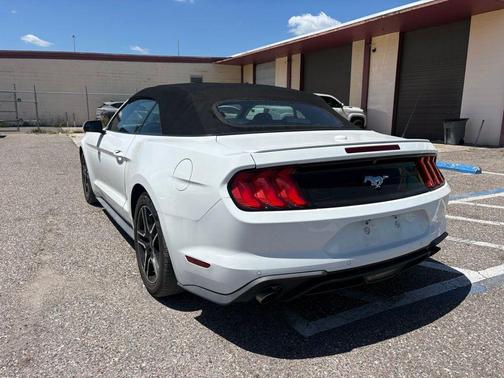 Oxford White 2019 Ford Mustang EcoBoost Premium
