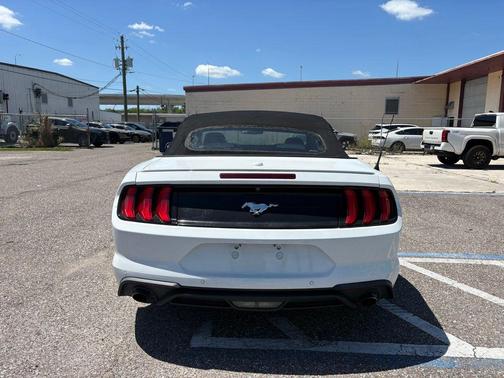 Oxford White 2019 Ford Mustang EcoBoost Premium