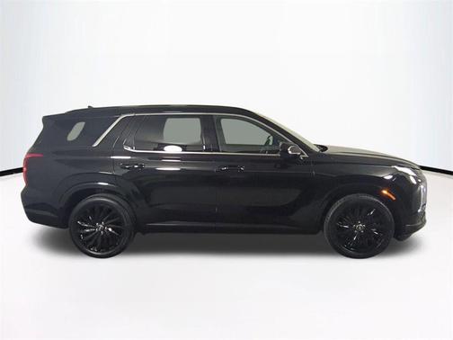 Abyss Black Pearl 2024 Hyundai PALISADE Calligraphy Night Edition