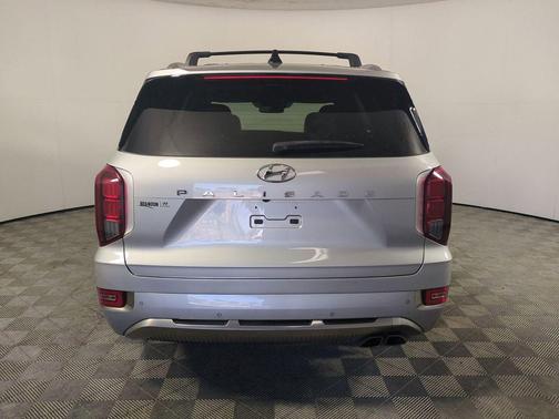 Typhoon Silver 2022 Hyundai PALISADE Calligraphy