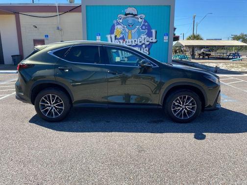 2025 Lexus NX 350h Premium