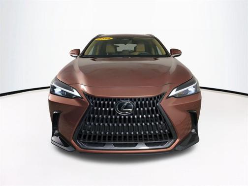 2025 Lexus NX 350h Premium