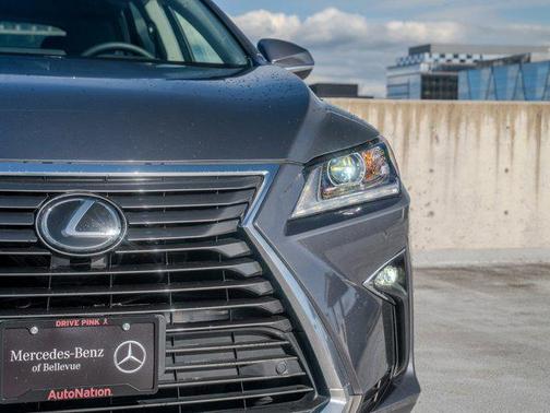 Nebula Gray Pearl 2019 Lexus RX 350 Base