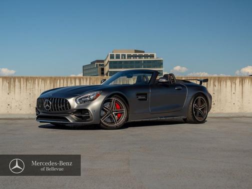 designo Selenite Grey Magno 2018 Mercedes-Benz AMG GT C