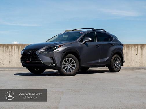 Nebula Gray Pearl 2018 Lexus NX 300h Base