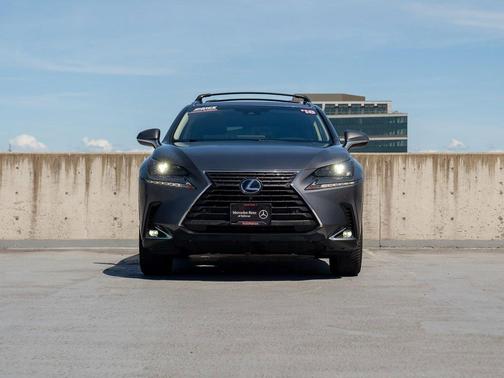 Nebula Gray Pearl 2018 Lexus NX 300h Base