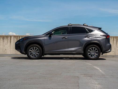 Nebula Gray Pearl 2018 Lexus NX 300h Base