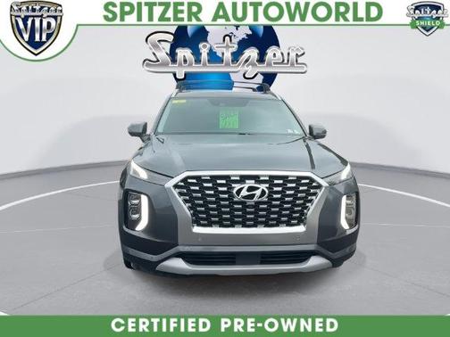 Rainforest 2021 Hyundai PALISADE Limited