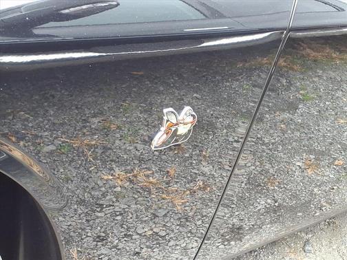 2018 Dodge Challenger R/T Scat Pack