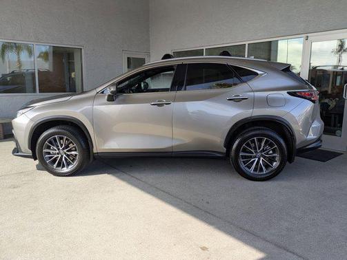 2024 Lexus NX 250 Base
