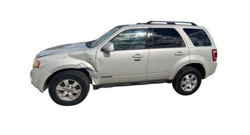Tan 2008 Ford Escape Limited