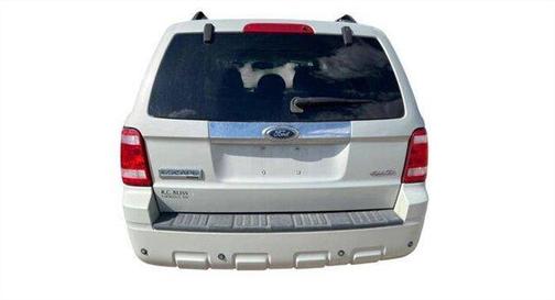 Tan 2008 Ford Escape Limited