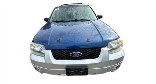 Blue / Silver 2007 Ford Escape XLT