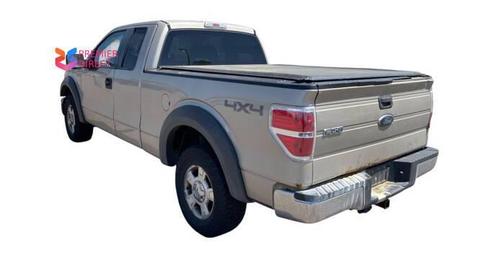 Tan 2009 Ford F-150 FX4 SuperCab
