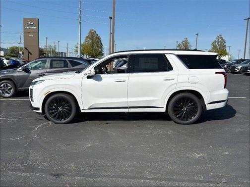 2025 Hyundai PALISADE Calligraphy Night Edition
