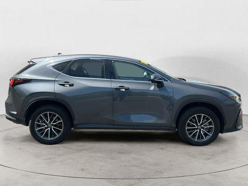 Cloudburst Gray 2024 Lexus NX 350h Premium