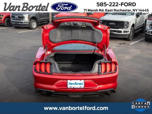 Rapid Red Metallic Tinted Clearcoat 2020 Ford Mustang EcoBoost