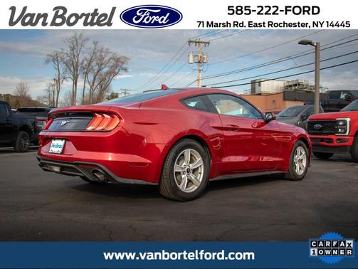 Rapid Red Metallic Tinted Clearcoat 2020 Ford Mustang EcoBoost