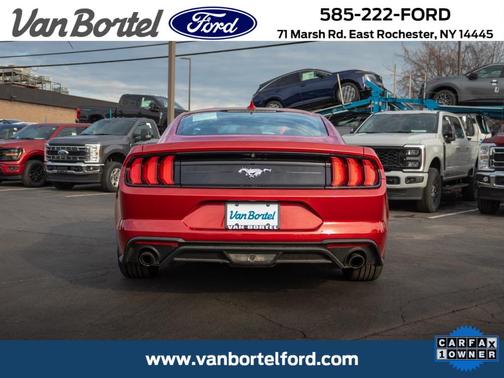 Rapid Red Metallic Tinted Clearcoat 2020 Ford Mustang EcoBoost