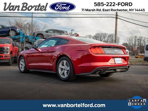 Rapid Red Metallic Tinted Clearcoat 2020 Ford Mustang EcoBoost