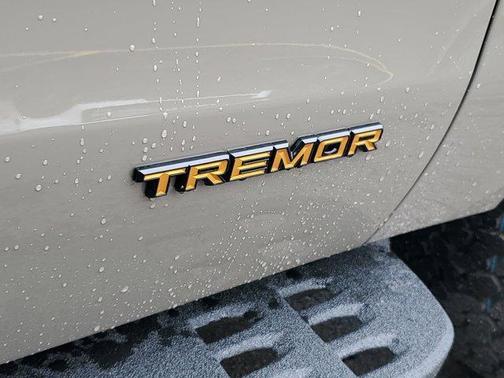 Gray 2026 Ford Expedition Tremor