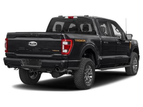 Black Metallic 2022 Ford F-150 Tremor