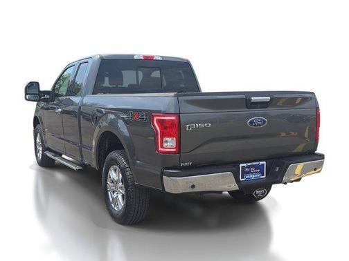 Magnetic 2017 Ford F-150 XLT