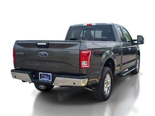 Magnetic 2017 Ford F-150 XLT