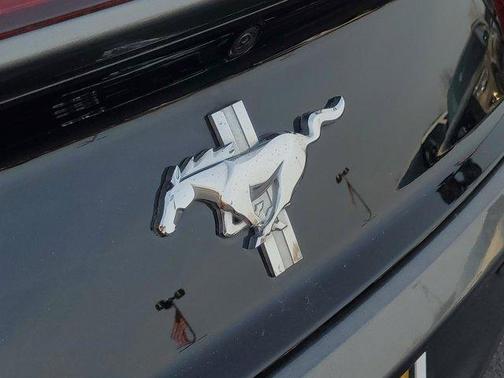 2015 Ford Mustang V6