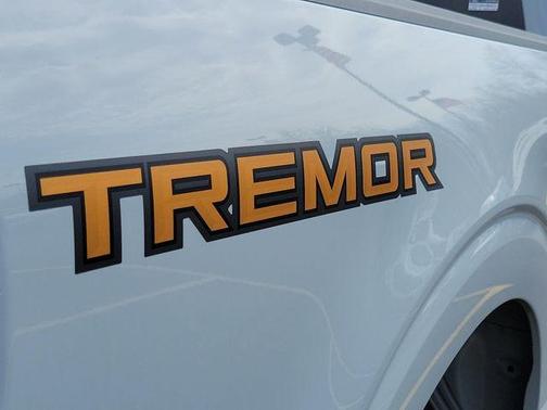 Avalanche 2026 Ford F-150 Tremor