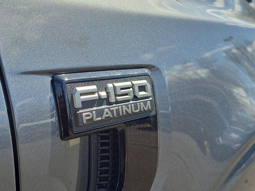 Gray Metallic 2026 Ford F-150 Platinum