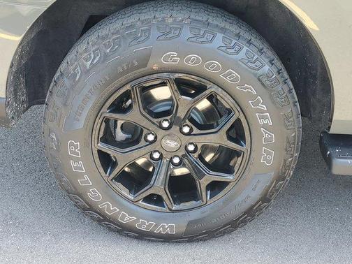 Green 2024 Ford Expedition Timberline