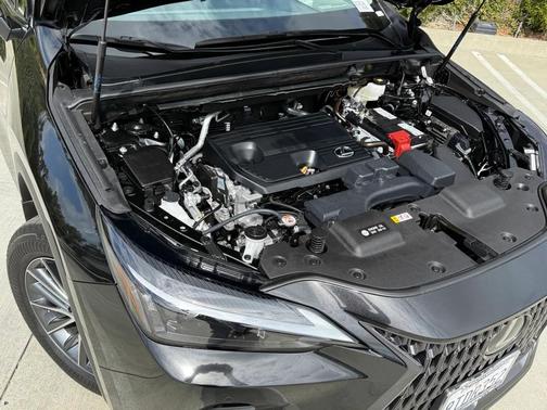 2025 Lexus NX 250 Base