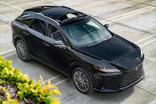 2025 Lexus RX 350 Luxury