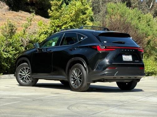 2025 Lexus NX 250 Base