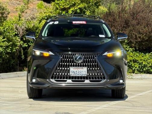 2025 Lexus NX 250 Base